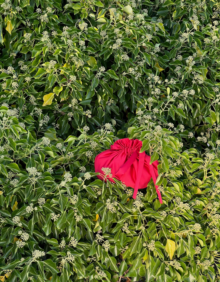 Dumpling Bag in Tomato