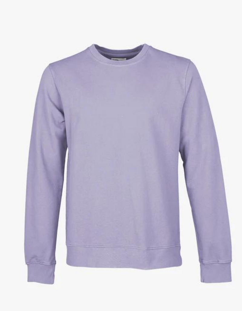 Classic Organic Crew in Purple Jade